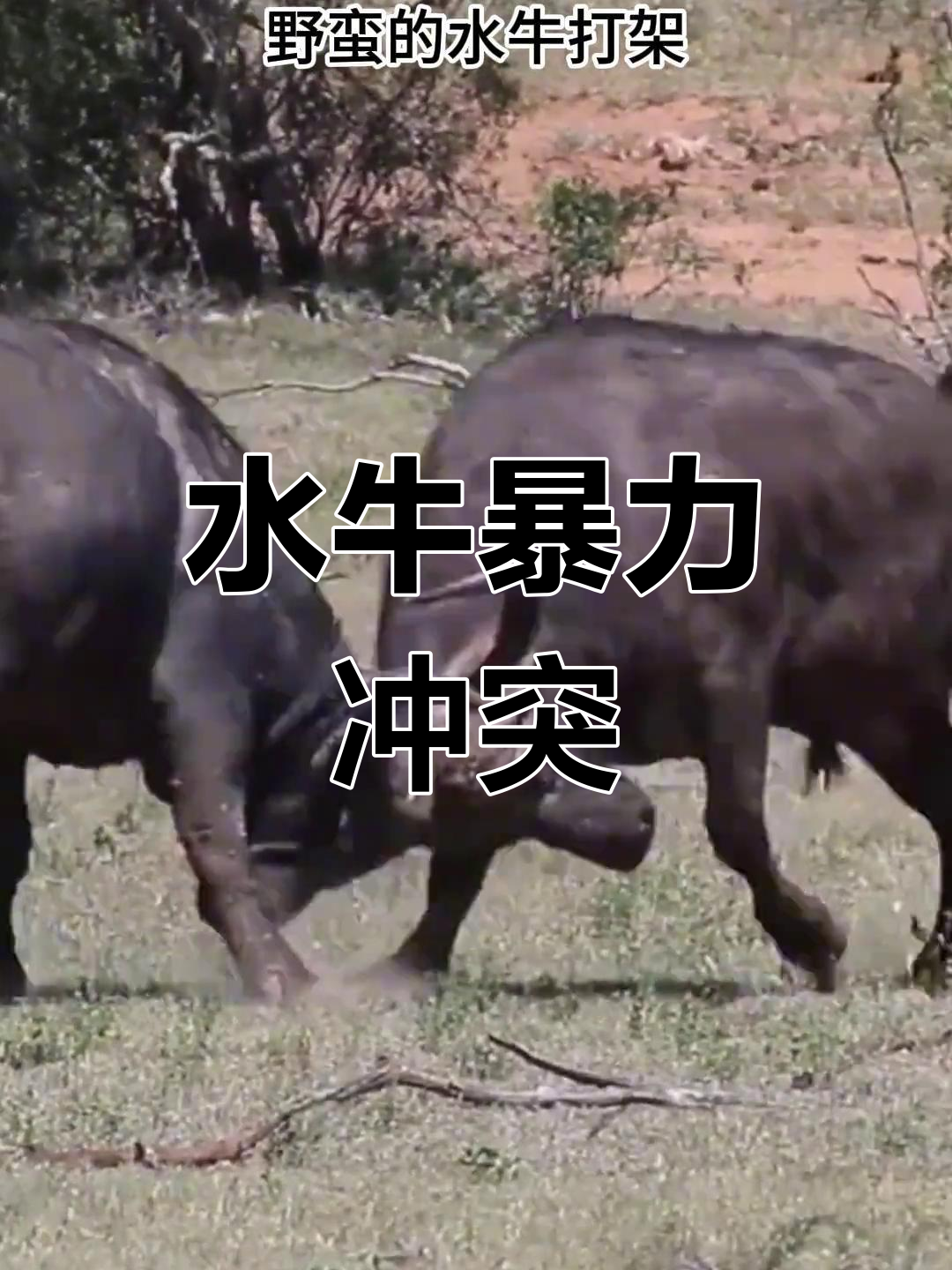 杏彩体育app-一触即发的激烈对决让人心跳加速的简单介绍